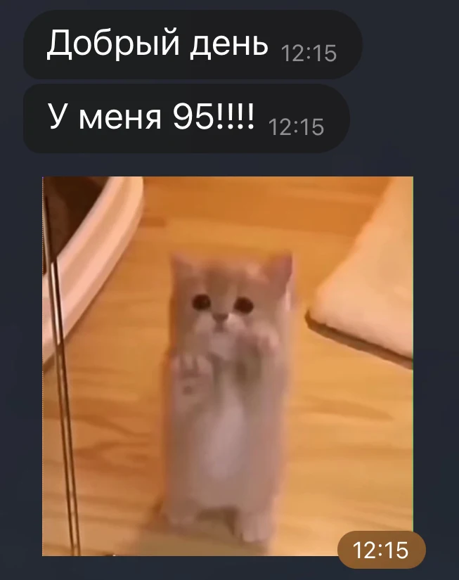 Сообщение выпускницы о высоком результате экзамена